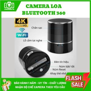 Hình ảnh camera nguỵ trang loa Bluetooth 360